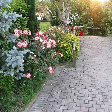 Fattoria Belvedere * Белларія-Іджеа-Марина