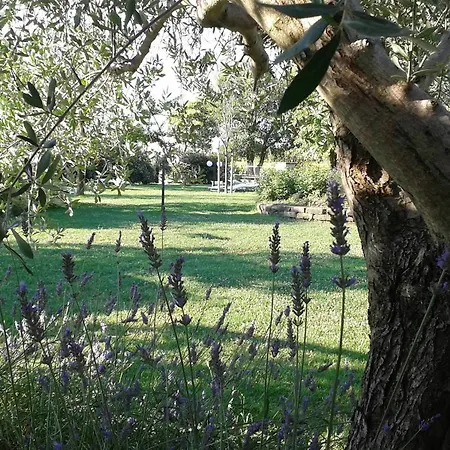 Agroturismo Fattoria Belvedere