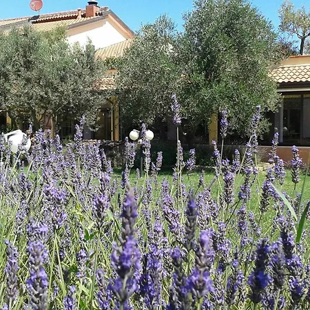 Fattoria Belvedere Agroturismo *